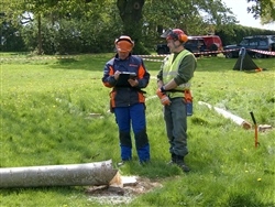 Chainsaw assessment 1