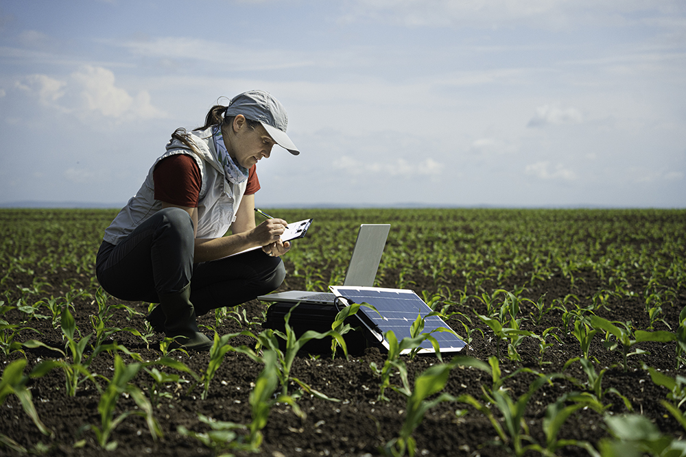 girl examining crops in field