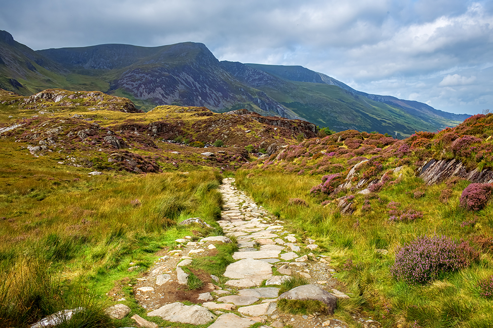 view of hills with heather