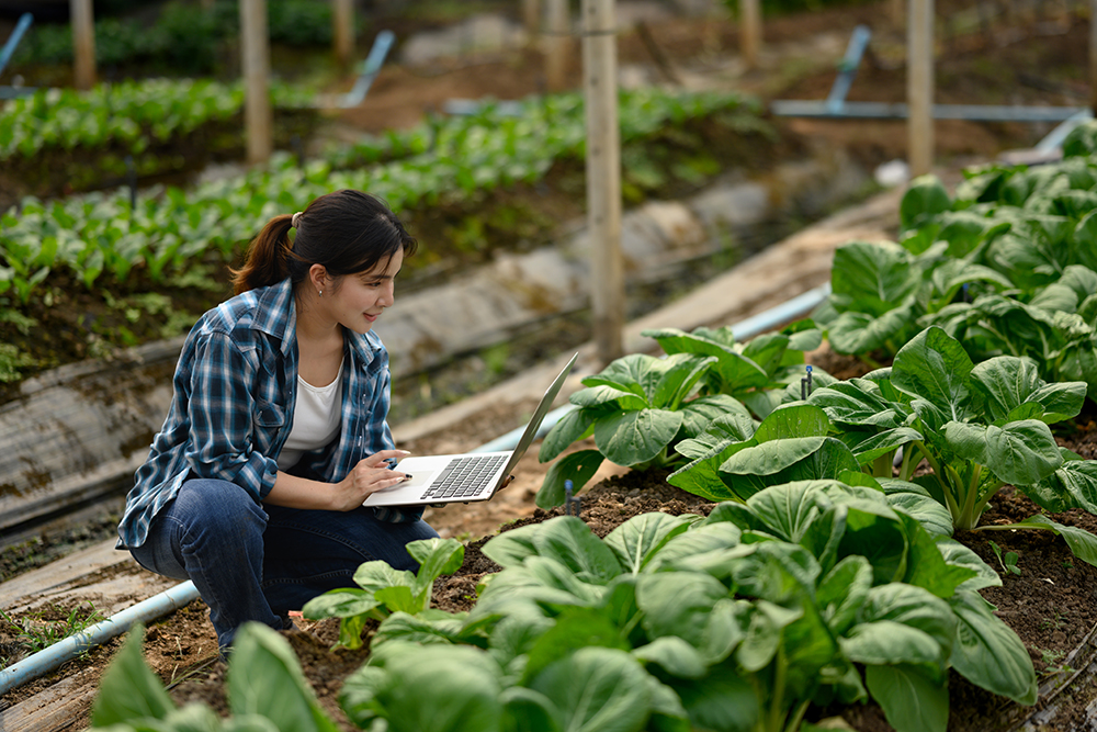 girl examining crops